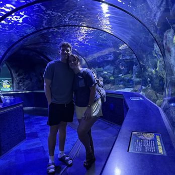 Ripley's Mirror Maze - Aquariums Near Me - Myrtle Beach, South Carolina Ripley's Mirror Maze - Aquariums Near Me - Myrtle Beach, South Carolina