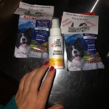 Healthy Spot - Long Beach - Pet Sitting Near Me - Long Beach, California Healthy Spot - Long Beach - Pet Sitting Near Me - Long Beach, California