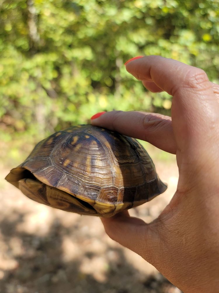 ADVENTUREWORKS HOT SPRINGS Updated October 2024 83 Photos & 56