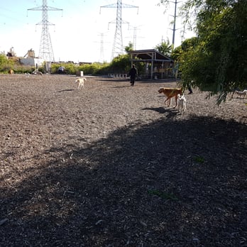 Markham Off-Leash Dog Area - Dog Parks Near Me - Markham, Ontario