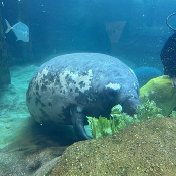 Columbus Zoo and Aquarium - Zoos Near Me - Powell, Ohio
