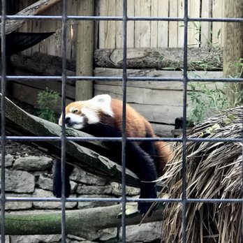 Zoo Boise - Too tired... - Zoos Near Me - Boise, Idaho