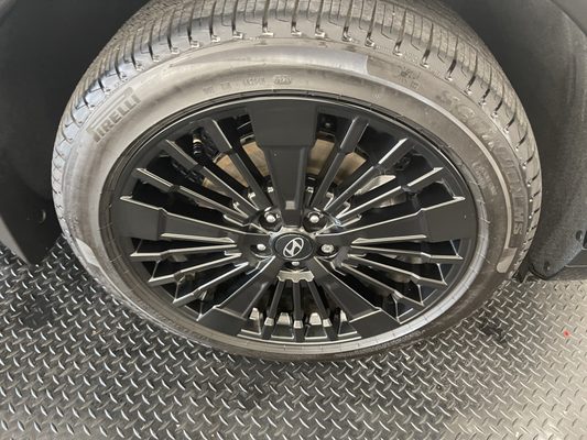 Father of Exoticz LLC