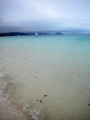 Whitehaven Beach by null