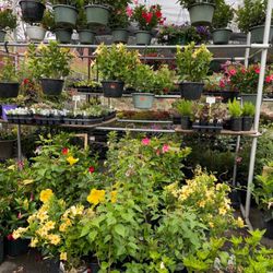 Giambrocco & Sons Garden Center - Boulder
