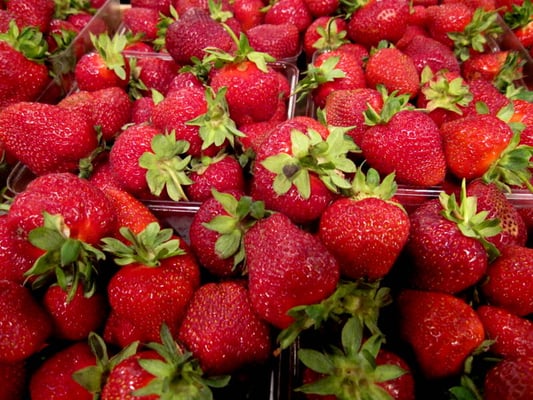 Farmers market in Kirkwood by null