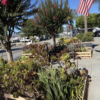 Gilroy Garlic USA RV Park - Campgrounds Near Me - Gilroy, California Gilroy Garlic USA RV Park - Campgrounds Near Me - Gilroy, California