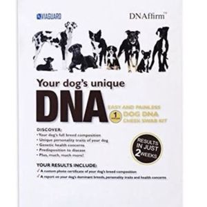 accumetrics dog dna