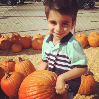Shawn's Pumpkin Patch - Pumpkin Patches Near Me - Culver City , California