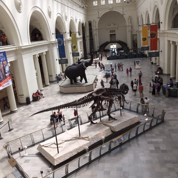 Field Museum - Sue! - Museums Near Me - Chicago, Illinois Field Museum - Sue! - Museums Near Me - Chicago, Illinois