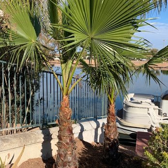 Moon Valley Nurseries - Nurseries & Gardening Near Me - Phoenix, Arizona