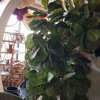 Coffee Nature - Doorway into giftshop. - Coffee & Tea Near Me - Costa Mesa, California