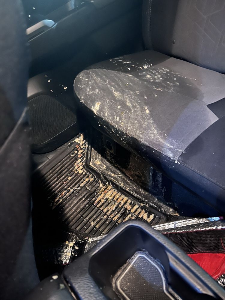 THE DETAIL SHOP Updated October 2024 2413 Hope Mills Rd