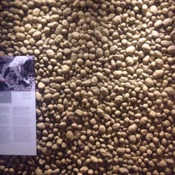 Muzeum Emigracji w Gdyni - Sala ziemniaka