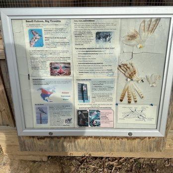 Marshy Point Nature Center - Public Services & Government Near Me - Middle River, Maryland