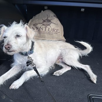 Kelly's Surigcal Unit - Veterinarians Near Me - Phoenix, Arizona