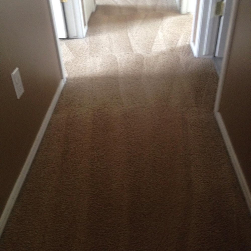 Rich's Carpet Cleaning Plus - Hallway with major wear pattern cleaned up great - Carpet Cleaning Near Me - Pleasant Grove, Utah Rich's Carpet Cleaning Plus - Hallway with major wear pattern cleaned up great - Carpet Cleaning Near Me - Pleasant Grove, Utah