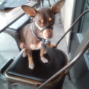 Orsay - Awesome.  Doggy friends allowed in outside patio. - French Near Me - Jacksonville, Florida