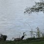 Photo of Spanaway Park