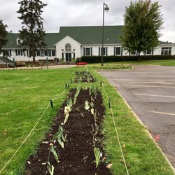 NE Minneapolis Municipal Iris Gardens - Planted summer of 2017
