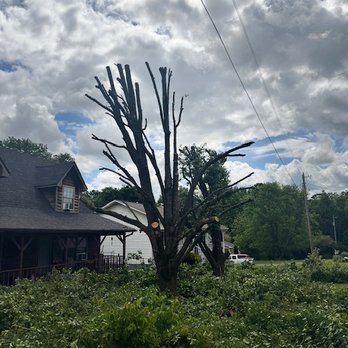 Tolbert's Tree Service - Tree Services Near Me Tolbert's Tree Service - Tree Services Near Me