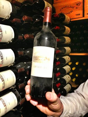 Ristorante Rinuccini by null