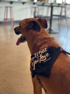 WeWork Office Space &amp; Coworking by null