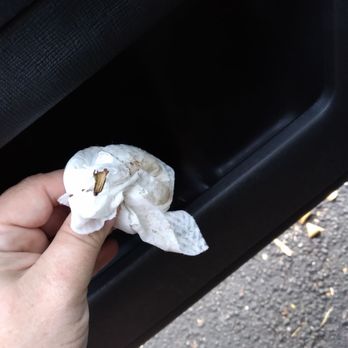 Avis Rent A Car System - Wiping the cupholders - Car Rental Near Me - Pembroke Pines, Florida Avis Rent A Car System - Wiping the cupholders - Car Rental Near Me - Pembroke Pines, Florida
