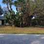 Photo of Aces Tree Service