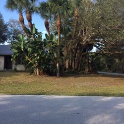 Aces Tree Service - After