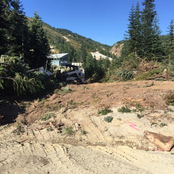Dr. Stump - Cleared lot in hemlock valley - Tree Services Near Me