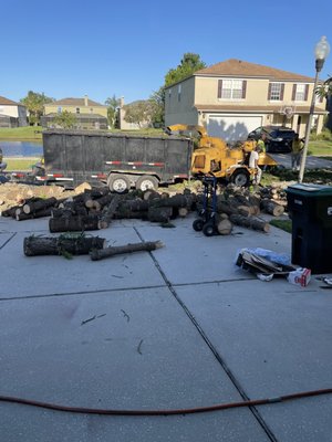 Ben Muriel Landscape & Tree Service