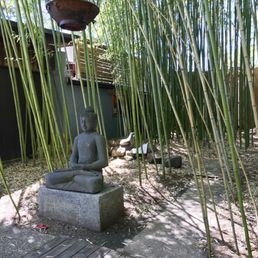 Beautiful peaceful gardens with spots to sit