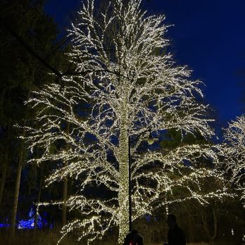 Winterlights at Newfields - Winterlights 2024 - Festivals Near Me - Indianapolis, Indiana Winterlights at Newfields - Winterlights 2024 - Festivals Near Me - Indianapolis, Indiana