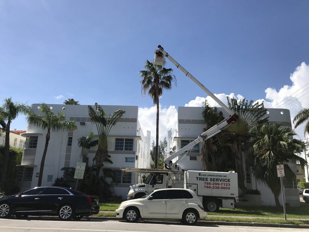 Elias Landscaping - tree service in Miami, FL