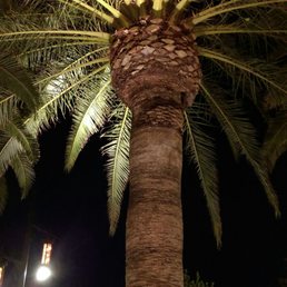 Nice summer night for shopping, eating, and walking