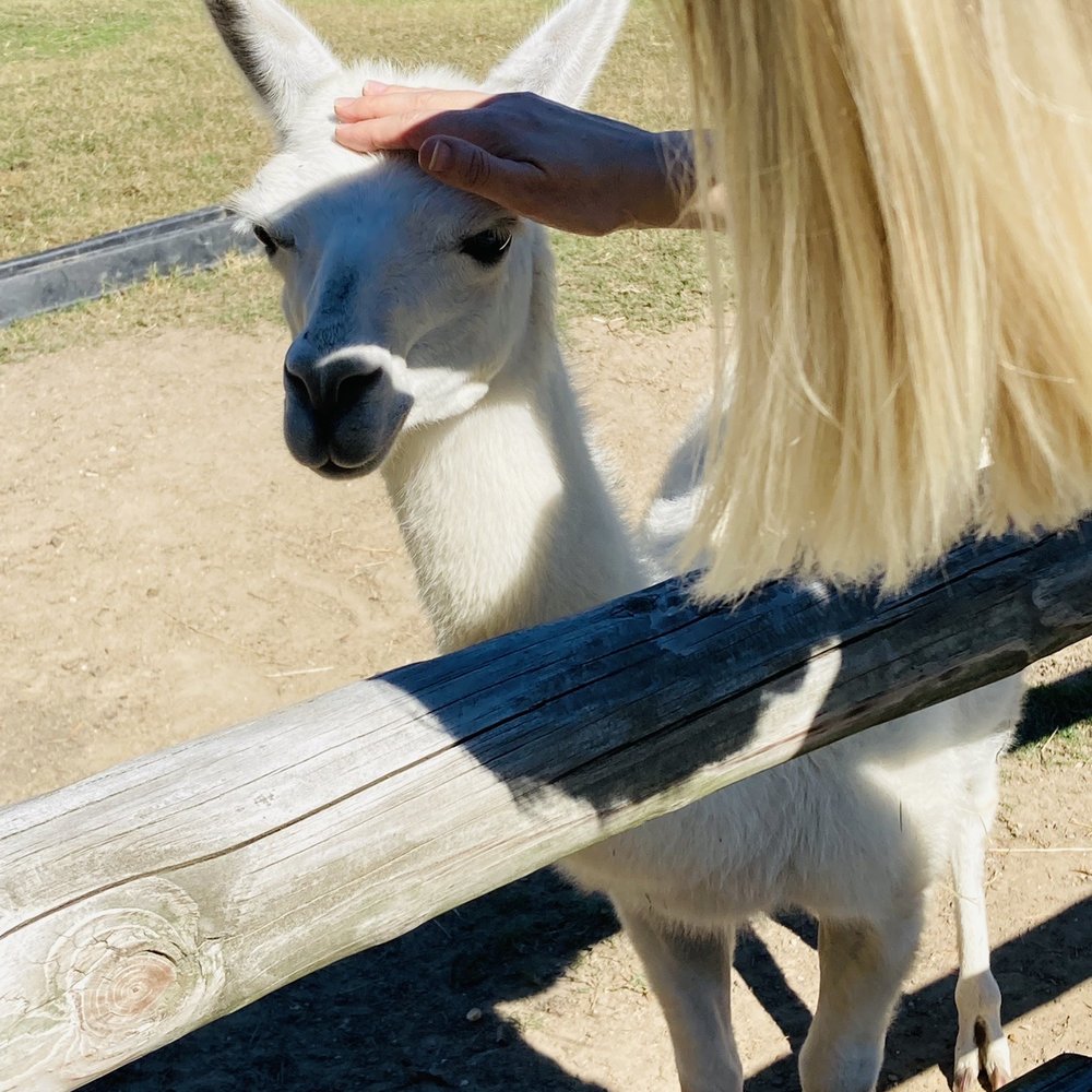 Grant's Farm - Attraction Farms Near Me - St. Louis, Missouri