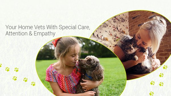 companion care vets high wycombe