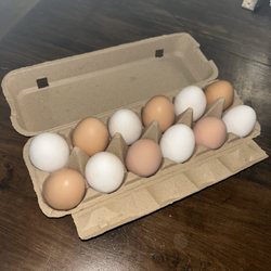 Born Again Farm - Natural chicken eggs
