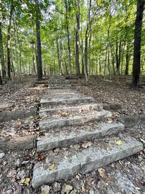 Cherokee Park by null