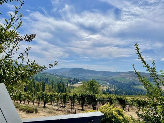 Analemma Wines by null