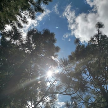 Snow Bear Lodge - Hiking  May 2016 - Hotels Near Me - Big Bear Lake, California