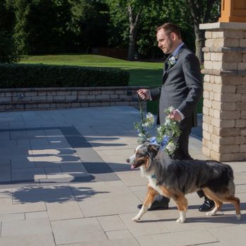 ALL4K9 - Pet Sitting Near Me - Cary, Illinois