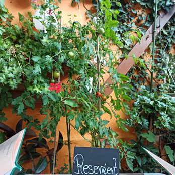 Bella Vista - Italian Near Me - Wiesbaden, HE