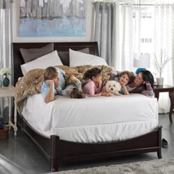 Van Winkle Mattress Company - Van Winkle Mattress Company