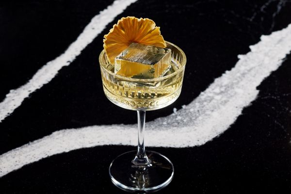 Wren Tysons by null Wren Tysons by null