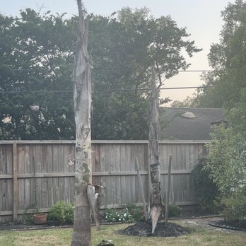 Moon Valley Nurseries - Nurseries & Gardening Near Me - Houston, Texas