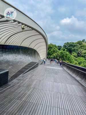 Henderson Waves by null