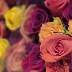 Costco - Flowers