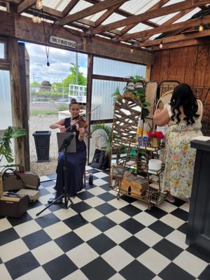 The Millhaven by null